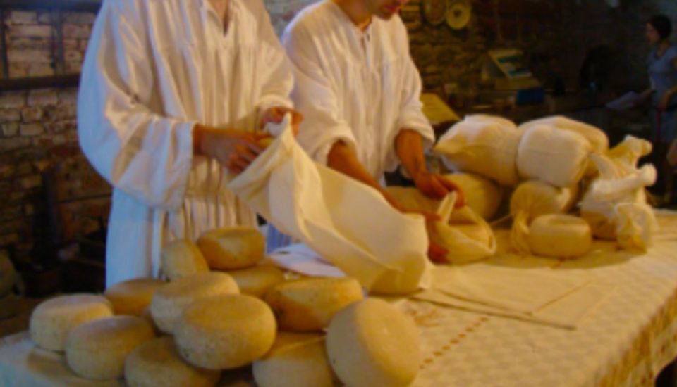 Palazzolo Acreide: Ricotta Cheese and Farm Tour With Tasting - Highlights of the Experience