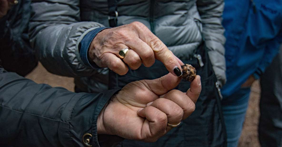 Palazzolo Acreide: Truffle Hunting With Lunch and Wine - Local Truffle Hunter and Dog