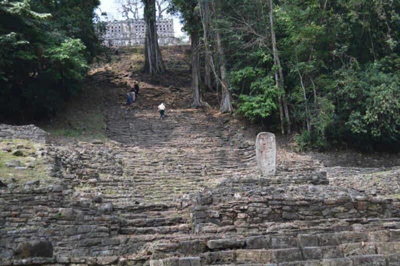 Palenque: 2-Day Lacandon Jungle, Yaxchilan, & Bonampak Trip - What Makes This Tour Stand Out?