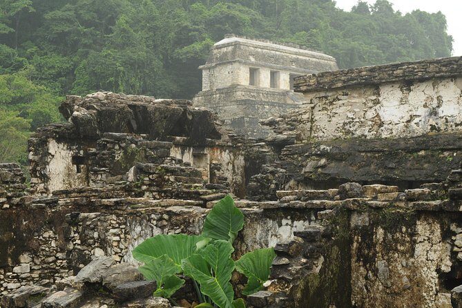 Palenque Archaelogical Site, Agua Azul and Misolha Waterfalls Combo Tour - Final Thoughts