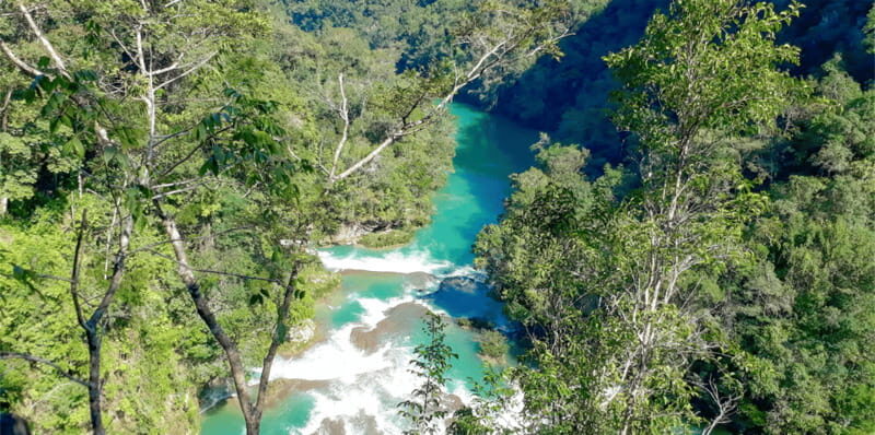 Palenque Archaeological Area and Roberto Barrios Waterfalls - Feedback from Participants