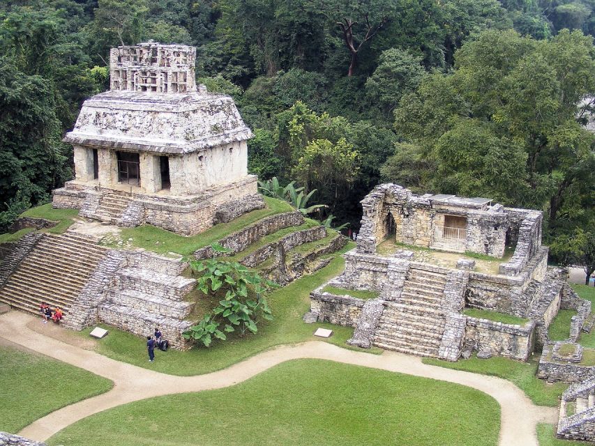 Palenque Archaeological Site Guided Walking Tour - Symbiosis of Jungle and City