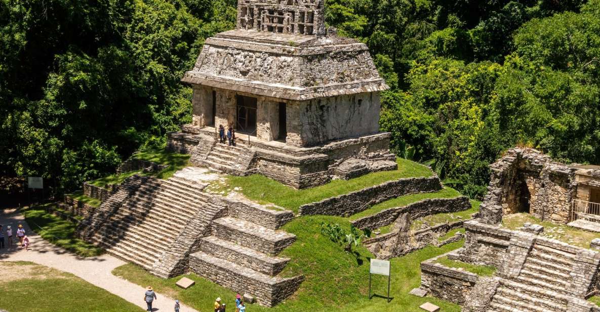 Palenque Archaeological Site Guided Walking Tour - Tour Guide Expertise