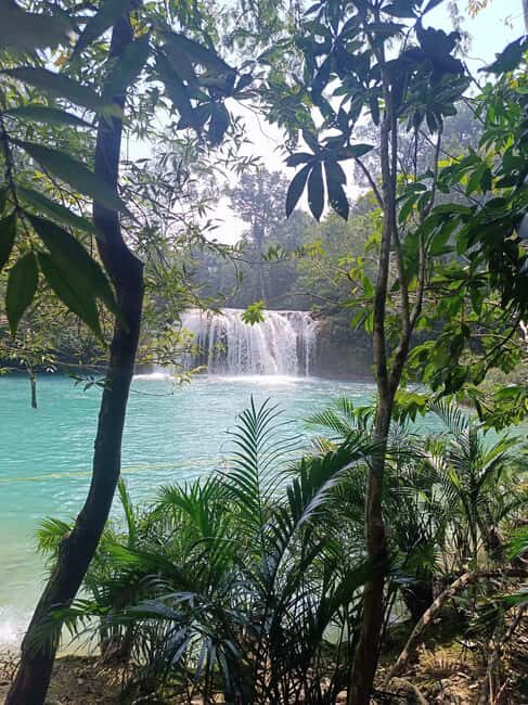Palenque Archeological zone and Roberto Barrios Waterfalls - An In-Depth Look at the Experience