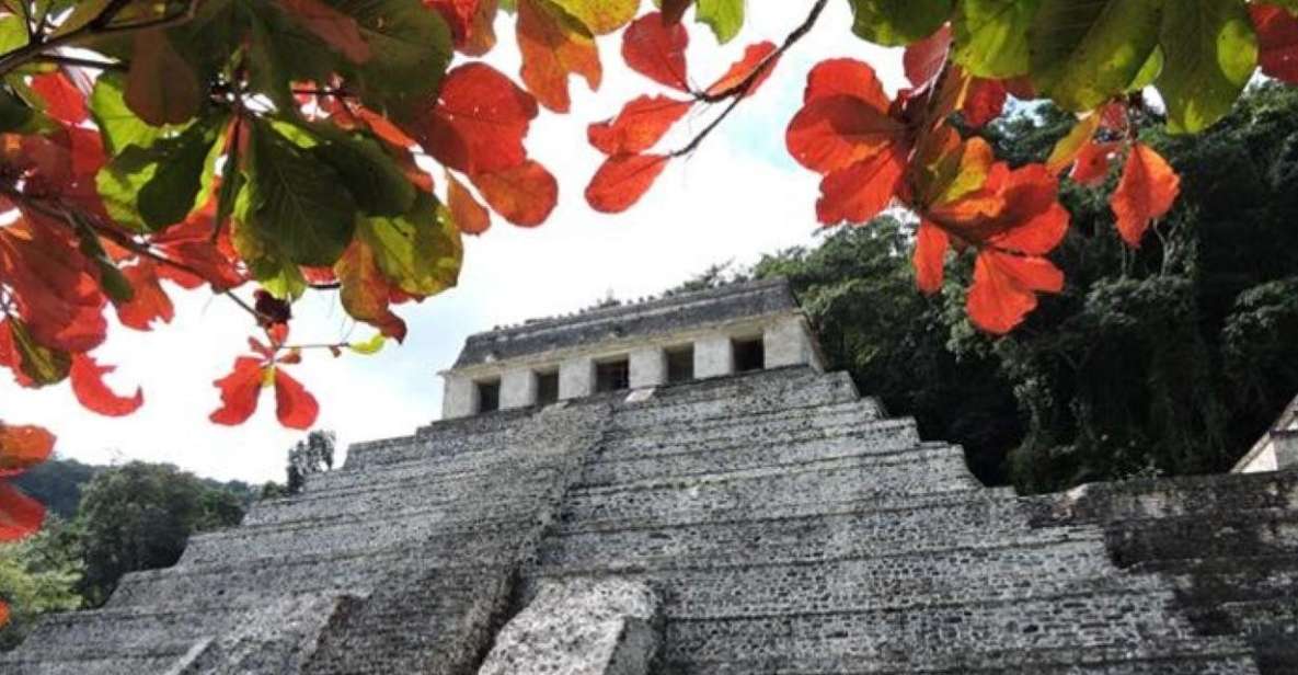 Palenque Archeological Zone and Roberto Barrios Waterfalls - Taking in Roberto Barrios Waterfalls