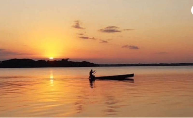 Palenque: Catazajá Lagoon Wildlife Adventure - The Sum Up