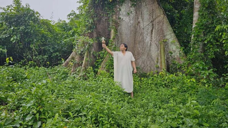 Palenque: Rafting and Hiking in the Lacandona Jungle - FAQ