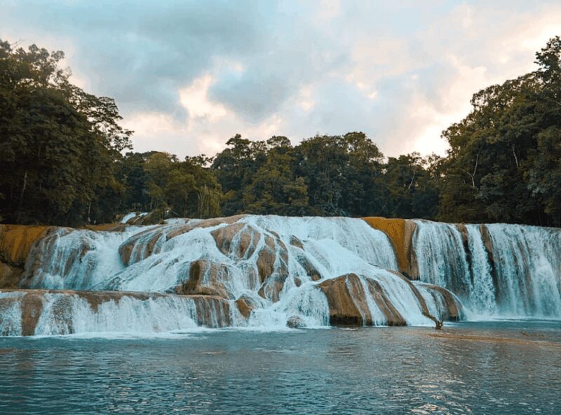 Palenque: Roberto Barrios Waterfall Tour - The Itinerary in Detail