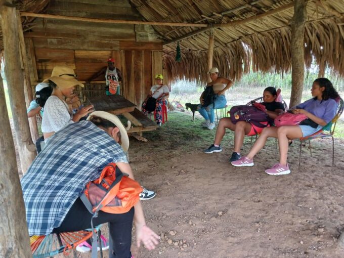 Palenque; Traditional Medicine and House Museum. - Related Activities in Cartagena