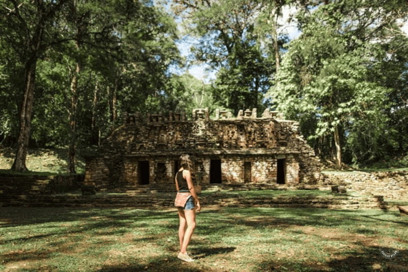 Palenque: Yaxchilán and Bonampak Archaeological Area Tour - A Deep Dive into the Experience