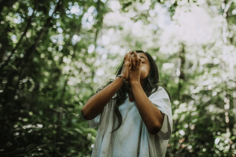 Palenque: Yaxchilan, Bonampak and Lacanja Jungle Adventure - Who Is This Tour Best For?