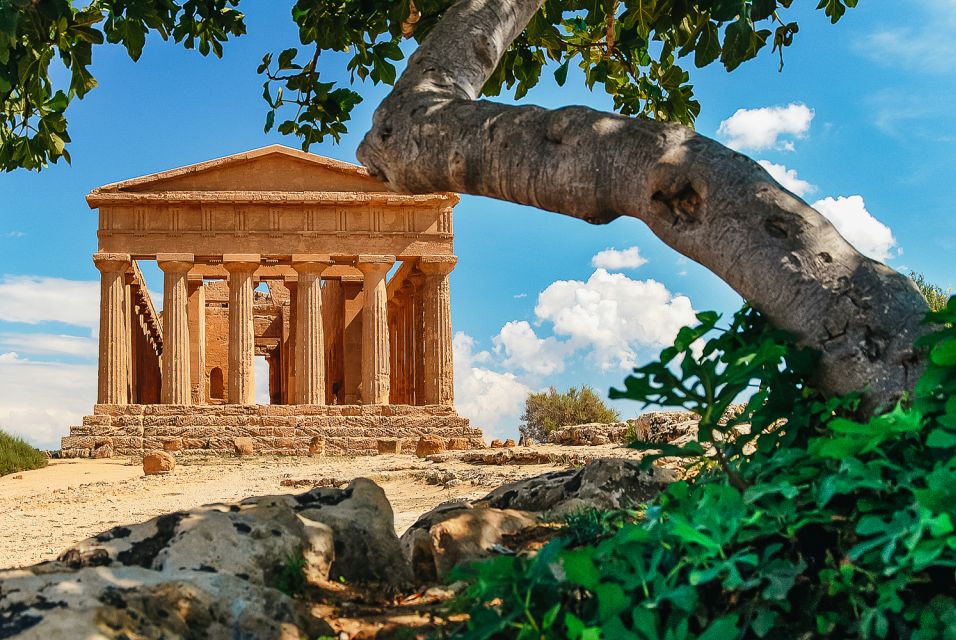 Palermo: Agrigento and the Valley of the Temples Day Tour - Important Information