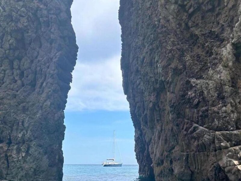 Palermo: boat tour with drinks and fresh fruit on board - Pricing and Value