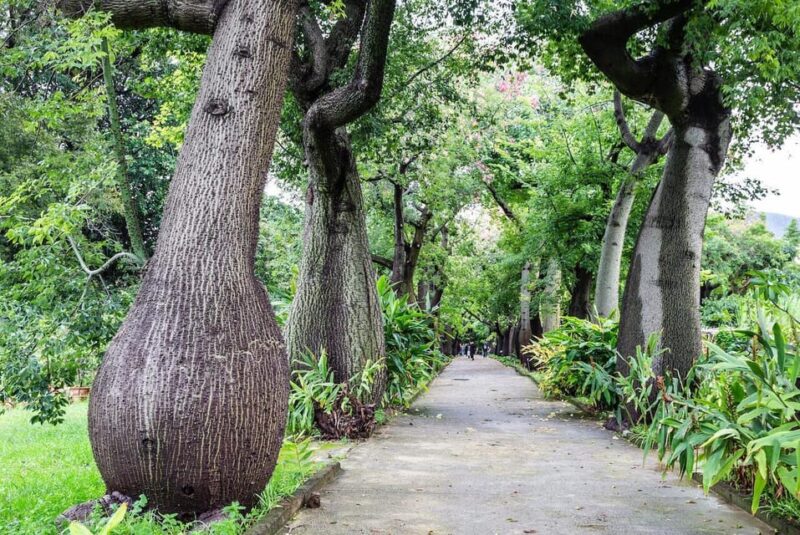 Palermo: Botanical Garden Entry Ticket and Palermo Audio App - Key Points