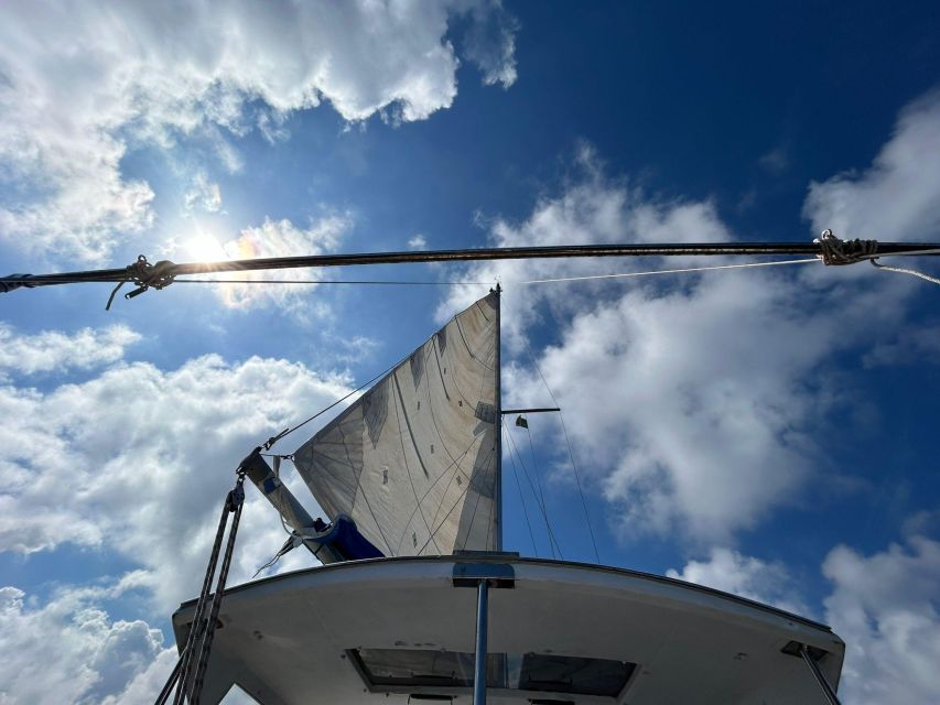 Palermo: Full-Day Snorkeling Boat Tour with Lunch and Wine - An In-Depth Look at the Tour Experience