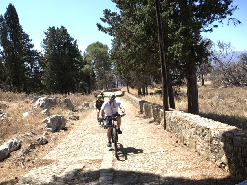 Palermo: Mount Pellegrino Mountain Guided Bike Tour - Safety and Requirements