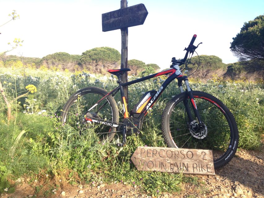 Palermo: Mount Pellegrino Mountain Guided Bike Tour - Frequently Asked Questions
