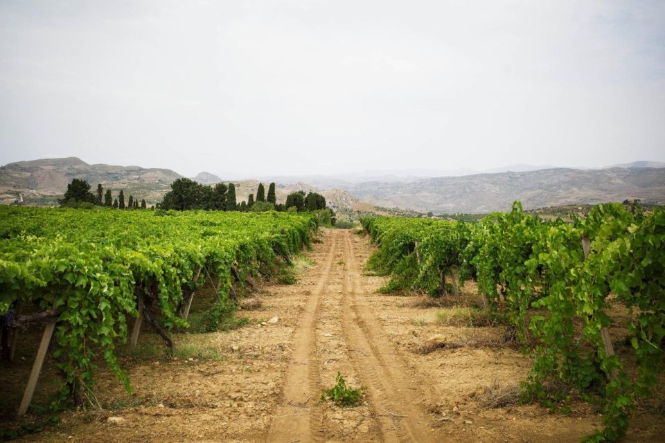 Palermo: Photographic Walk and Wine Tasting - Why Choose This Tour