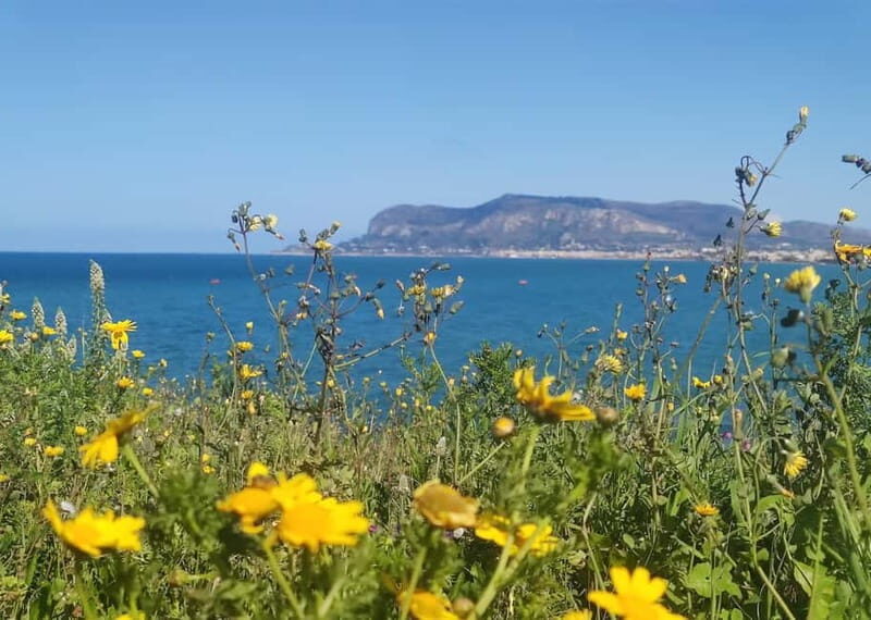 Palermo's East Coast: a bike ride close to the Sea - Exploring Palermo’s East Coast on Two Wheels