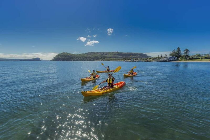 Palm Beach Harbour Hopper 24-hour or 48-hour Cruise Pass - An In-Depth Look at the Tour Experience