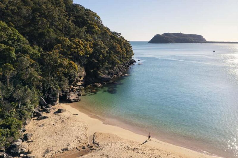 Palm Beach Harbour Hopper 24-hour or 48-hour Cruise Pass - Practical Tips for Making the Most of Your Pass