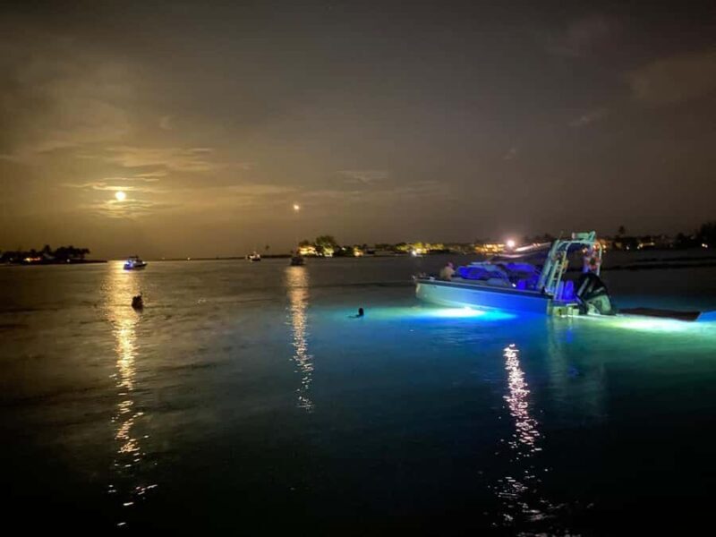 Palm Beach Luxury Day Boat Cruises - The Picnic and Comfort