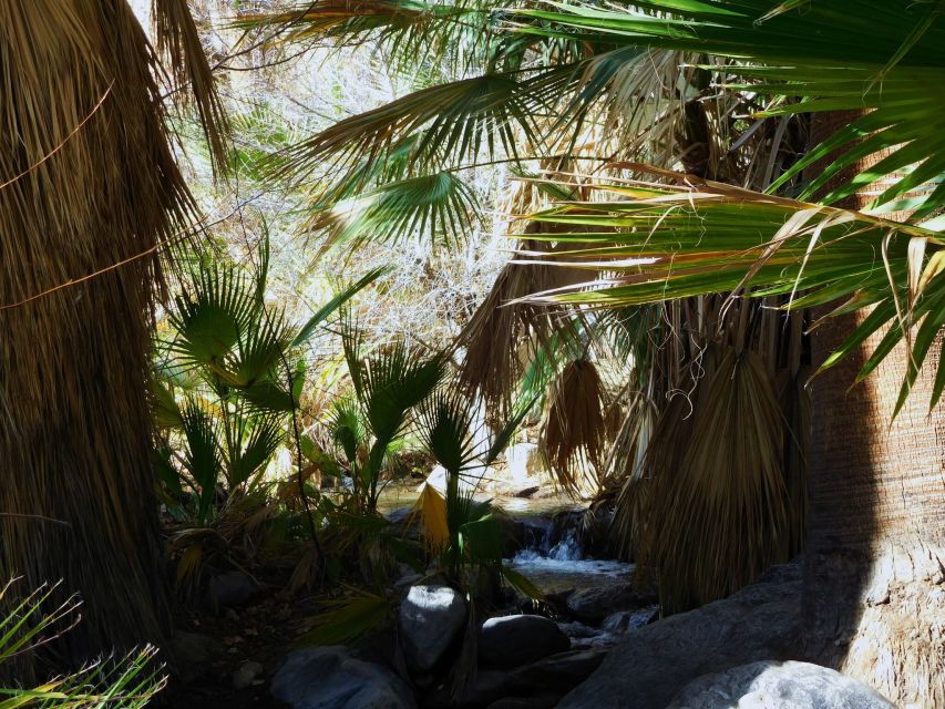 Palm Springs: Indian Canyons Hiking Tour by Jeep - Confirmation and Departure