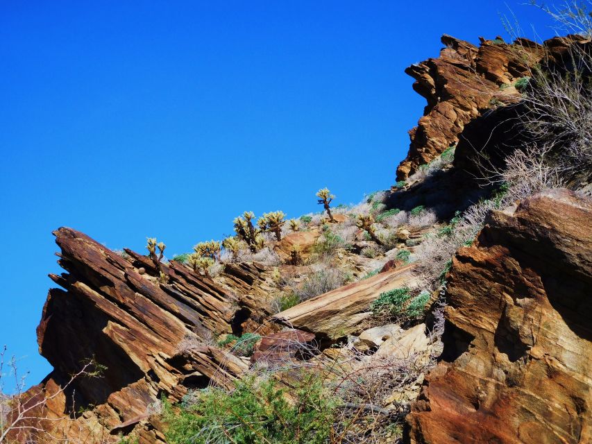 Palm Springs: Indian Canyons Hiking Tour by Jeep - Tour Requirements