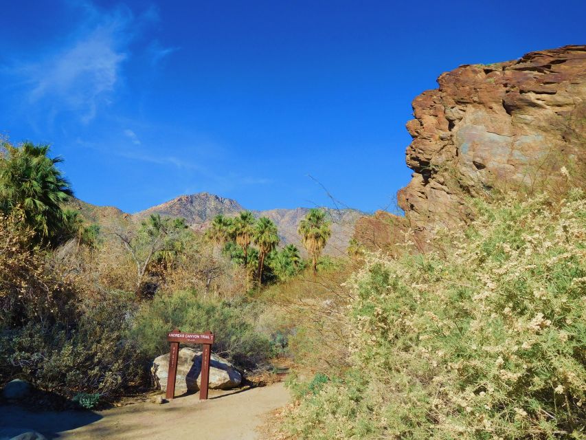 Palm Springs: Indian Canyons Hiking Tour by Jeep - Logistics and Safety