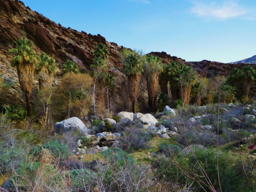 Palm Springs: Indian Canyons Hiking Tour by Jeep - Frequently Asked Questions