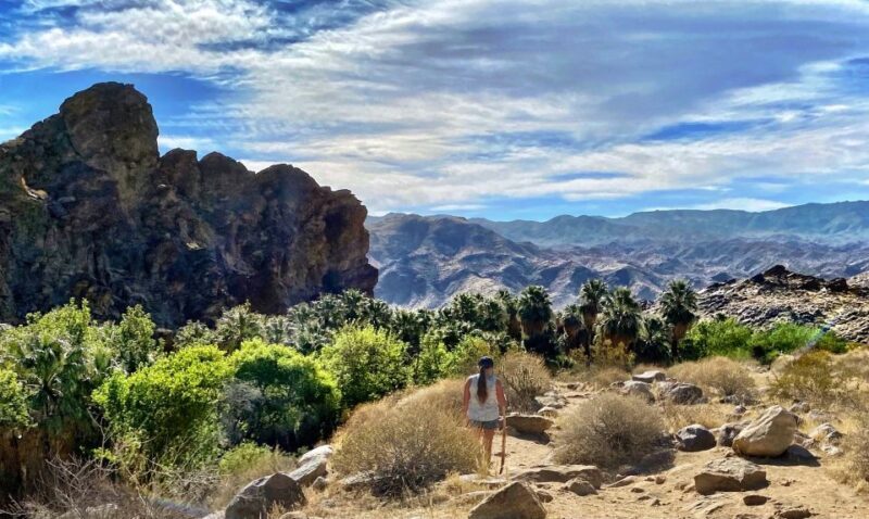 Palm Springs: Indian Canyons Jeep/Hiking Combo Tour - The Sum Up