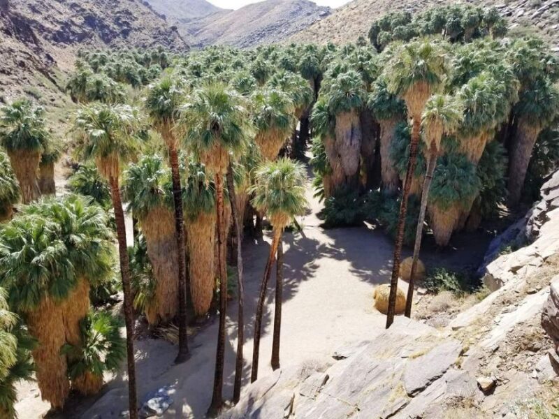 Palm Springs: Indian Canyons Jeep/Hiking Combo Tour - FAQs