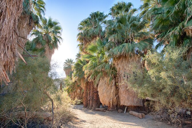 Palm Springs Self-Guided Driving Audio Tour - Tour Experience Highlights