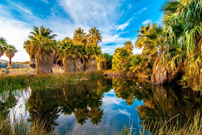 Palm Springs Self-Guided Driving Audio Tour - User Feedback and Insights
