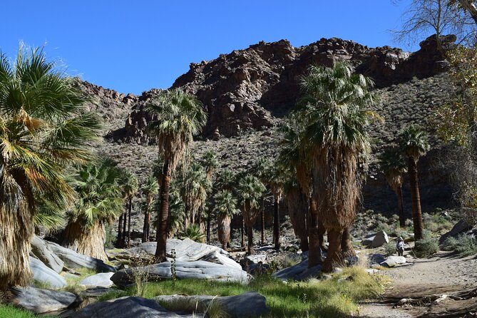 Palm Springs Self-Guided Driving Audio Tour - Questions About Your Stay