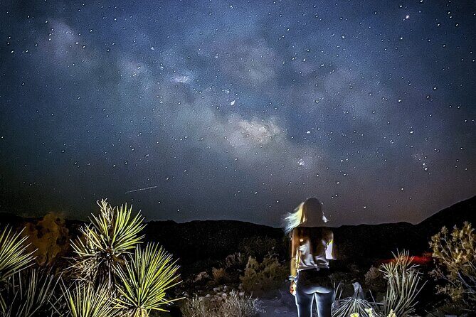 Palm Springs Stargazing Tour with Night Vision Goggles - Key Points