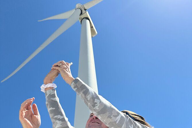 Palm Springs Windmill Guided Tour by Golf Cart - An In-Depth Look at the Tour Experience