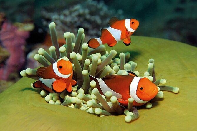 Palma Acquarium with Transfer - A Closer Look at the Experience