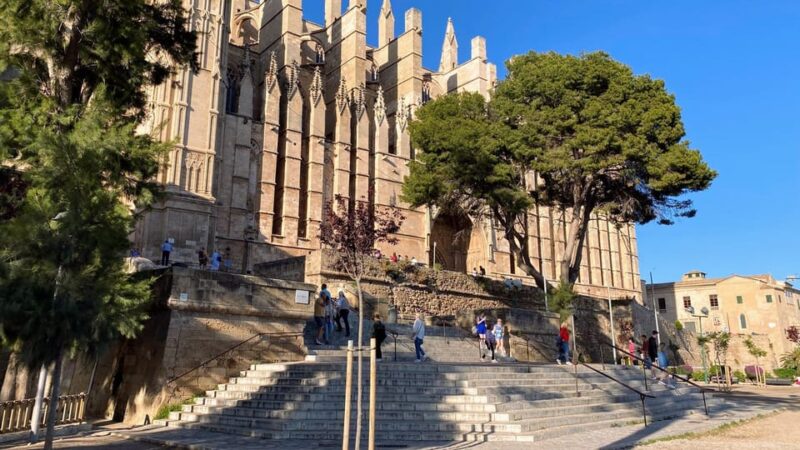 Palma: Alleys of Old Town Self-guided Explorer Walk - Tour Highlights and Experience