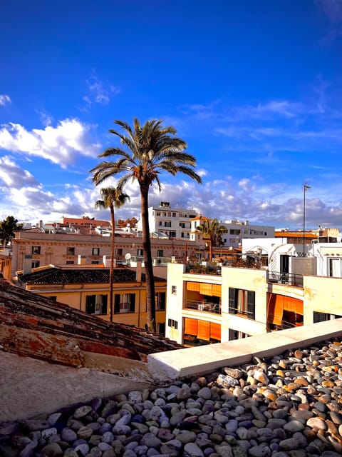Palma Authentically. City Tour With Snacks and Wine - Key Points