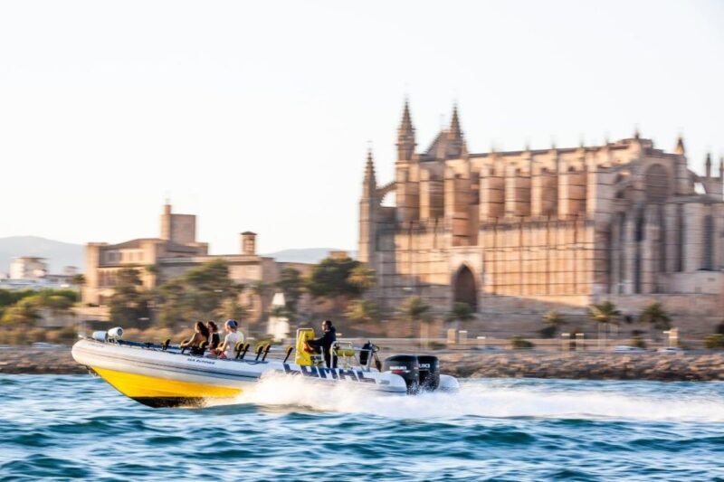 Palma Bay: Speedboat Discovery Tour - Safety and Restrictions