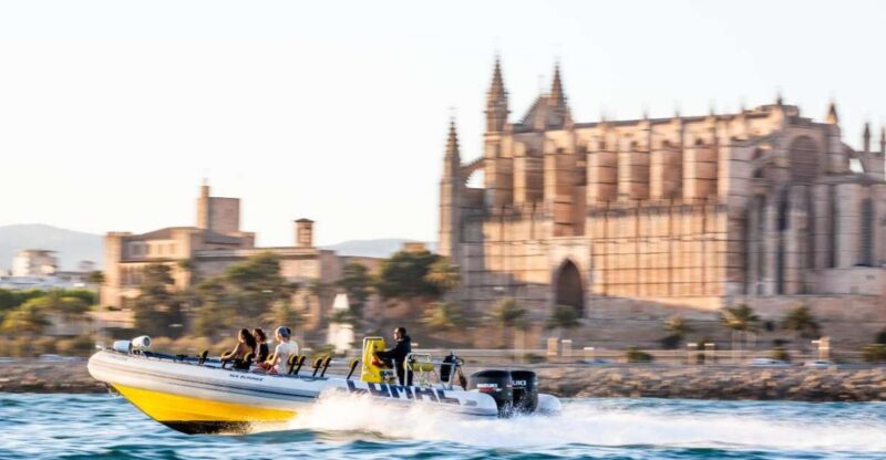 Palma Bay: Speedboat Discovery Tour - Included in the Tour