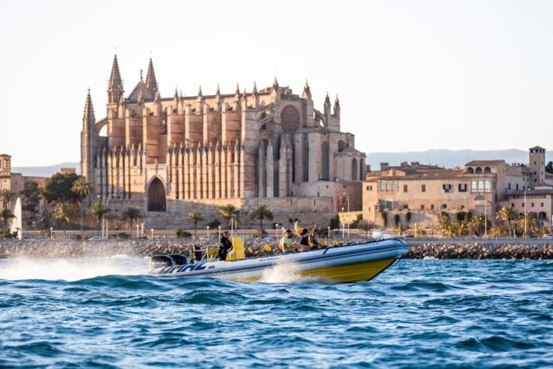 Palma Bay: Speedboat Discovery Tour - Customer Feedback