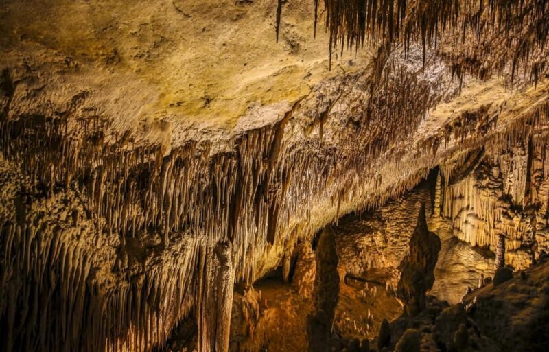 Palma: Caves of Drach Entrance, Music Concert, and Boat Trip - Key Points