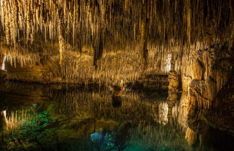 Palma: Caves of Drach Entrance, Music Concert, and Boat Trip - Boat Ride on Lake Martel