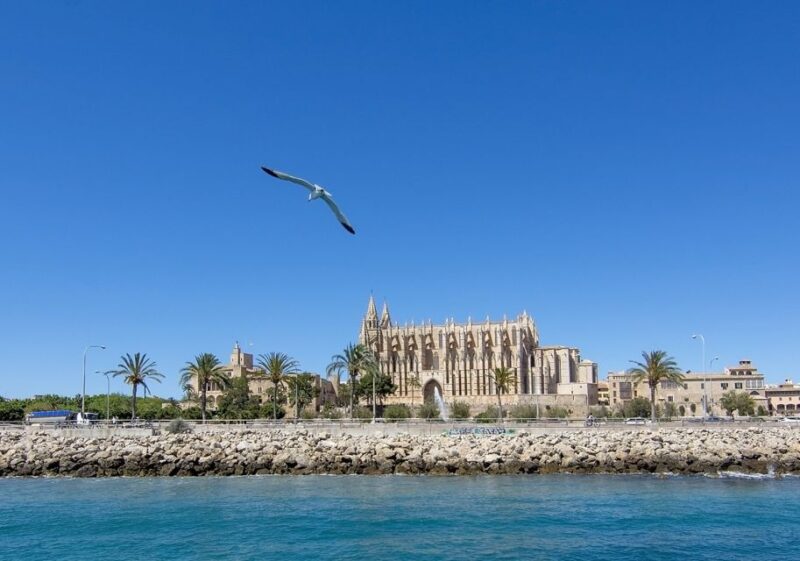 Palma De Mallorca: 1-Hour Sightseeing Boat Tour - Highlights and Experience