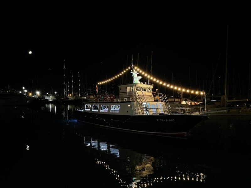 Palma de Mallorca: Bay of Palma Night Boat Cruise - Who Will Love This Tour?