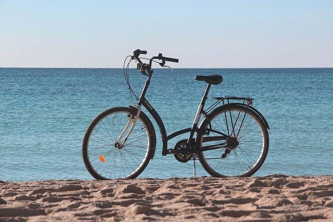 Palma de Mallorca Easy Bike Tour - Authentic Reviews: What Travelers Say
