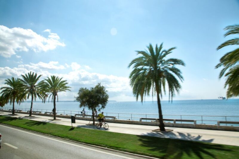 Palma de Mallorca: Full-Day Tour with Departure Options - What to Expect from Your Palma Full-Day Tour