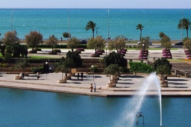 Palma De Mallorca Guided Tour With Hotel Pick up - Customer Reviews and Feedback